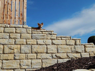 Blocksteinmauer mit Hund